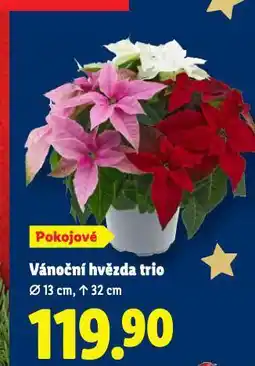 Lidl Vánoční hvězda trio nabídka