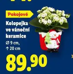 Lidl Kolopejka ve vánoční keramice nabídka