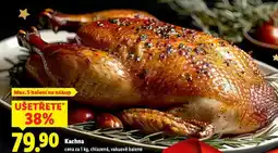 Lidl Kachna nabídka