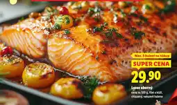 Lidl Losos obecný nabídka