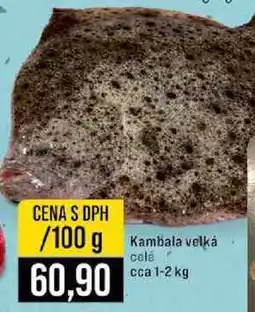 Jip Kambala velká celá cca 1-2 kg 100g nabídka