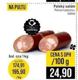 Jip Polský salám 100g nabídka
