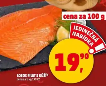 Losos filet s kůží