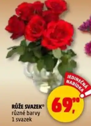 Penny Market Růže svazek nabídka
