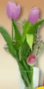 Penny Market Kytice hyacint a tulipány nabídka