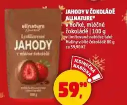 Penny Market Jahody v čokoládě allnature vhořké, mléčné čokoládě | 100 g v limitované nabídce také maliny v bílé čokoládě nabídka