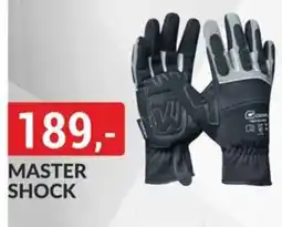 Baumax Master shock nabídka