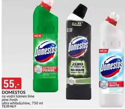 Baumax Domestos na vodní kámen lime pine fresh ultra white&shine nabídka