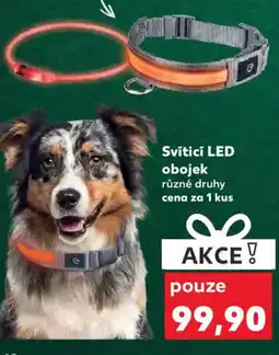 Kaufland Svíticí LED obojek nabídka