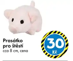 TEDi Prasátko pro štěstí nabídka