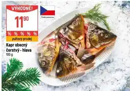 Globus Kapr obecný čerstvý - hlava nabídka