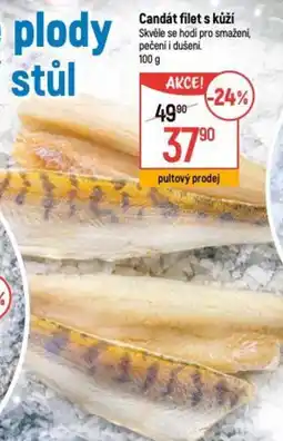 Globus Candát filet s kůží nabídka