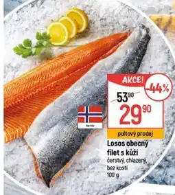 Globus Losos obecný filet s kůží nabídka