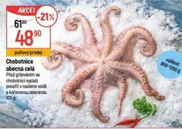 Globus Chobotnice obecná celá nabídka