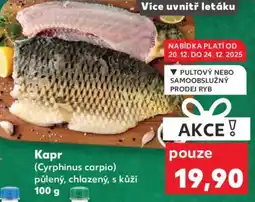 Kaufland Kapr nabídka