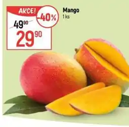 Globus Mango nabídka