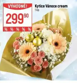 Globus Kytice Vánoce cream nabídka