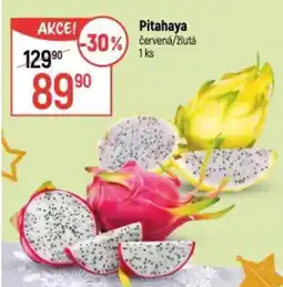 Globus Pitahaya nabídka
