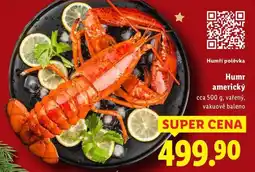 Lidl Humr americký, cca 500 g nabídka