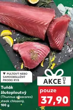 Kaufland Tuňák žlutoploutvý (Thunnus albacares) nabídka