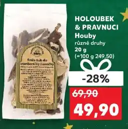 Kaufland HOLOUBEK & PRAVNUCI Houby nabídka