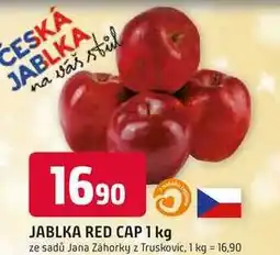 Trefa ČESKÁ JABLKA 1 kg nabídka