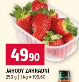 Terno Jahody zahradní nabídka