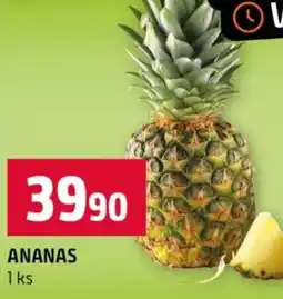 Terno ANANAS nabídka
