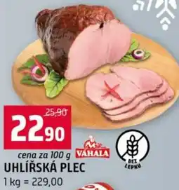 Terno Uhlířská plec nabídka