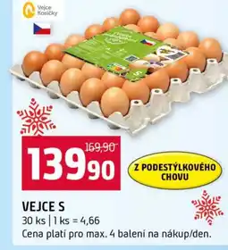 Terno Vejce S nabídka