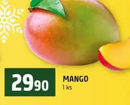 Terno Mango nabídka
