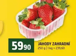 Terno Jahody zahradní nabídka