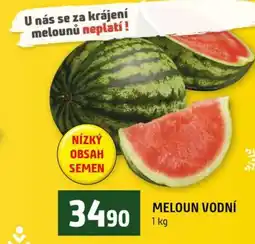 Terno Meloun vodní nabídka