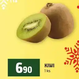 Terno Kiwi nabídka