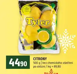 Terno Citrony nabídka