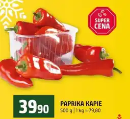 Terno Paprika kapie nabídka
