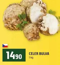 Terno Celer bulva nabídka