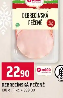 Terno Debrecínská pečeně nabídka