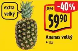 Albert Ananas velký nabídka