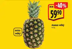 Albert Ananas velký nabídka