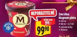 Albert Zmrzlina Magnum pinta nabídka