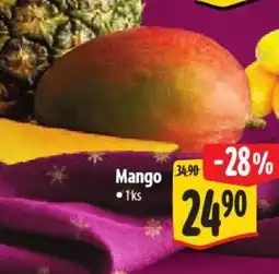 Albert Mango nabídka