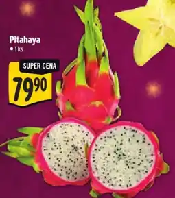 Albert Pitahaya nabídka