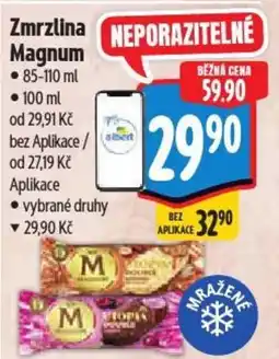 Albert Zmrzlina Magnum nabídka