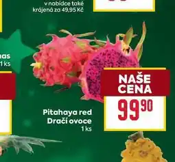 Billa Pitahaya red Dračí ovoce 1 ks nabídka