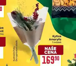 Billa Kytice Amarylis 1 svazek nabídka