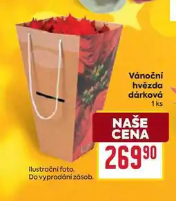 Billa Vánoční hvězda dárková 1 ks nabídka