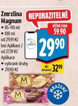 Albert Zmrzlina Magnum 85-110 ml nabídka