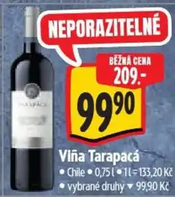 Albert Viña Tarapacá nabídka