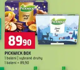 Terno Pickwick box nabídka